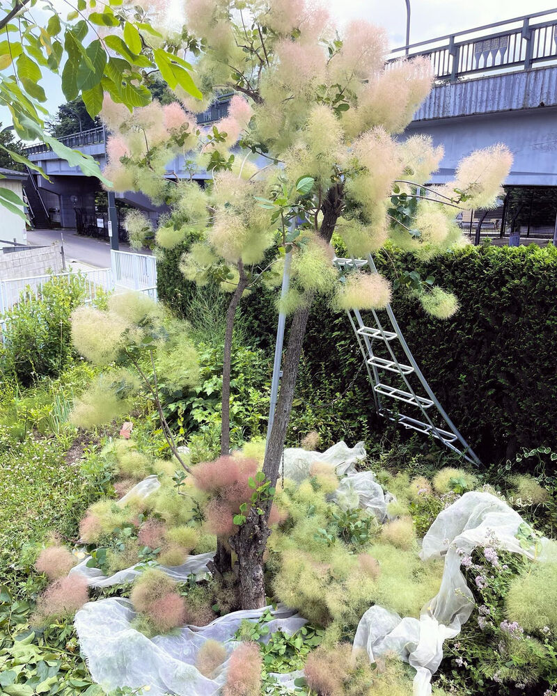 ブログ画像