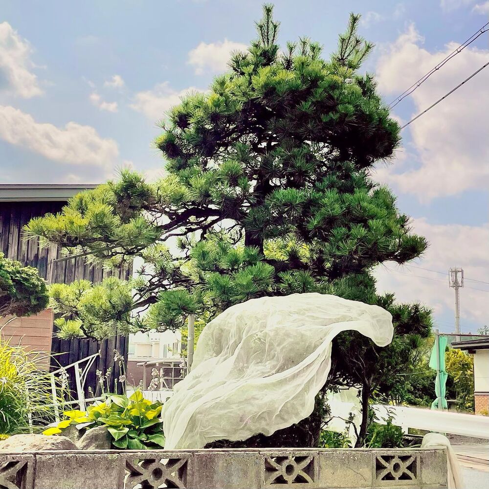 ブログ画像