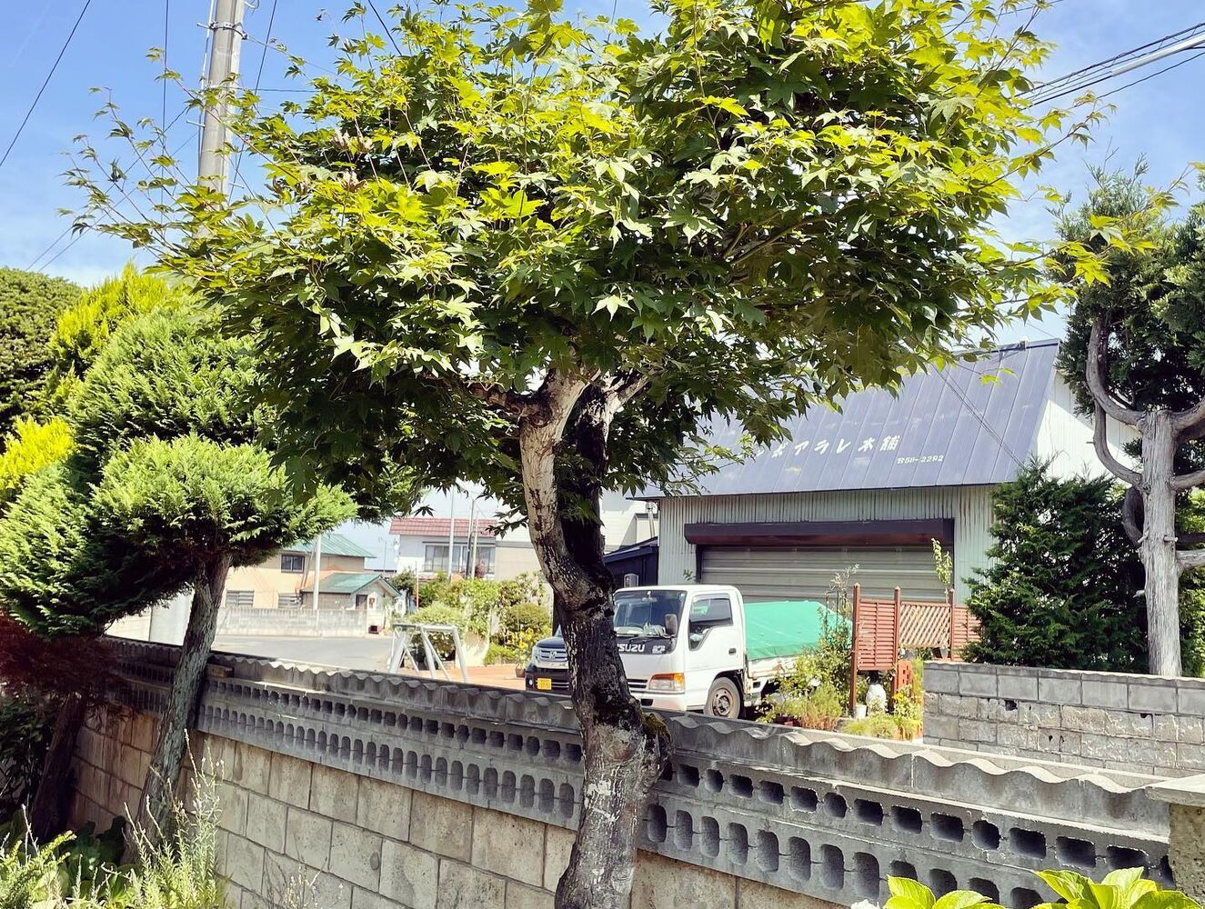 ブログ画像