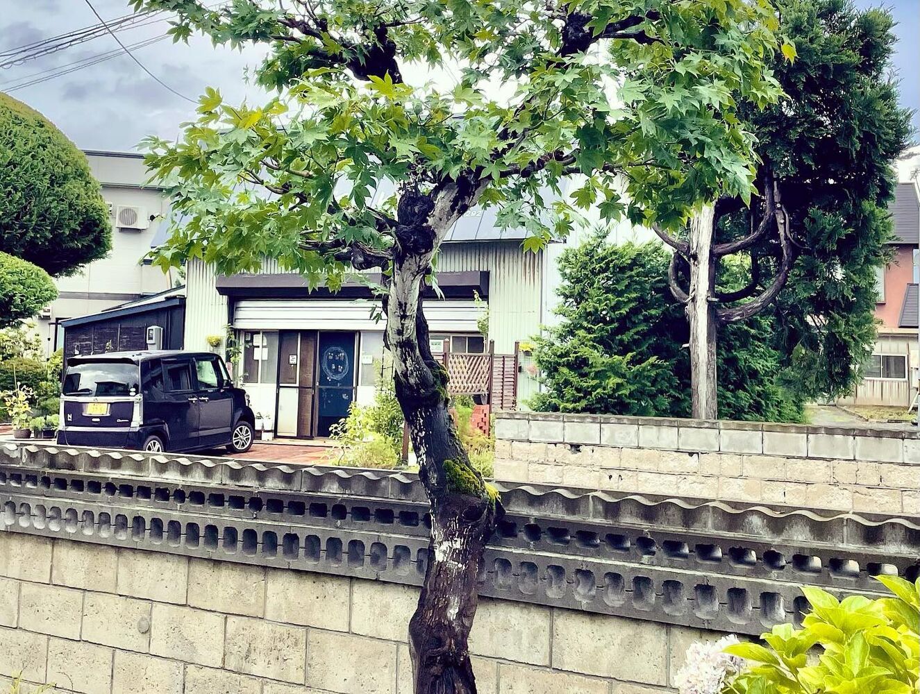 ブログ画像