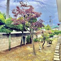 ブログ画像