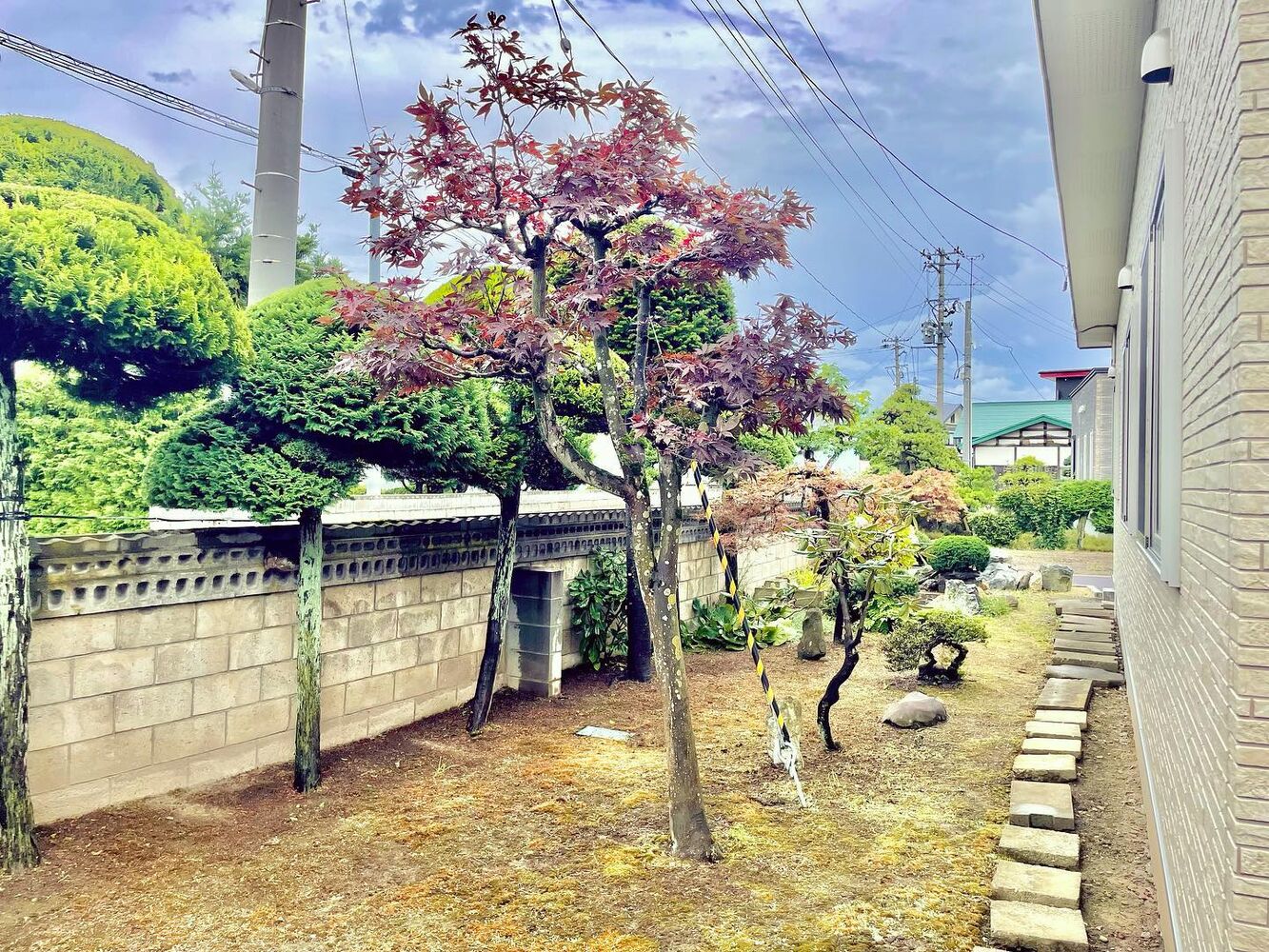 ブログ画像
