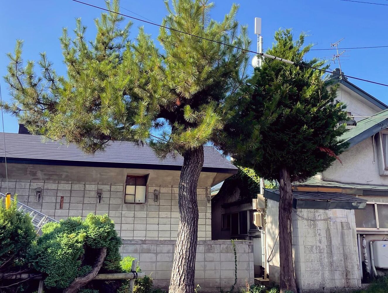 ブログ画像