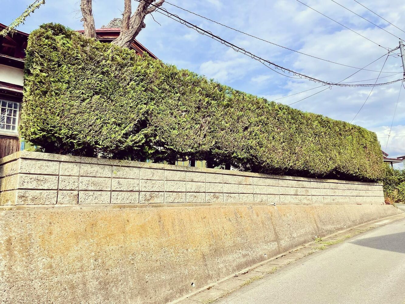 ブログ画像