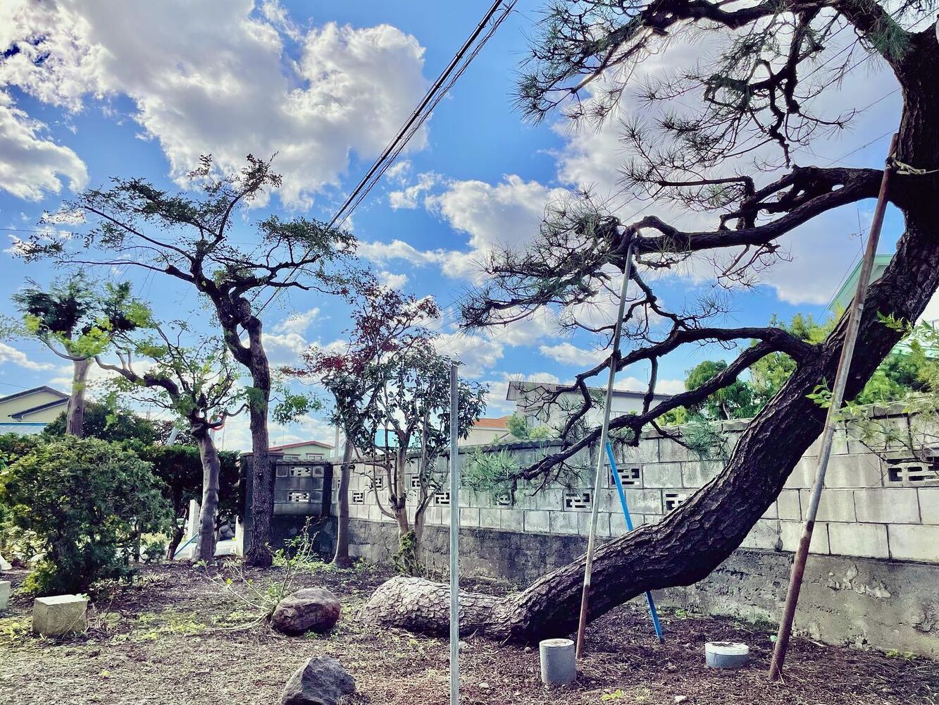 ブログ画像