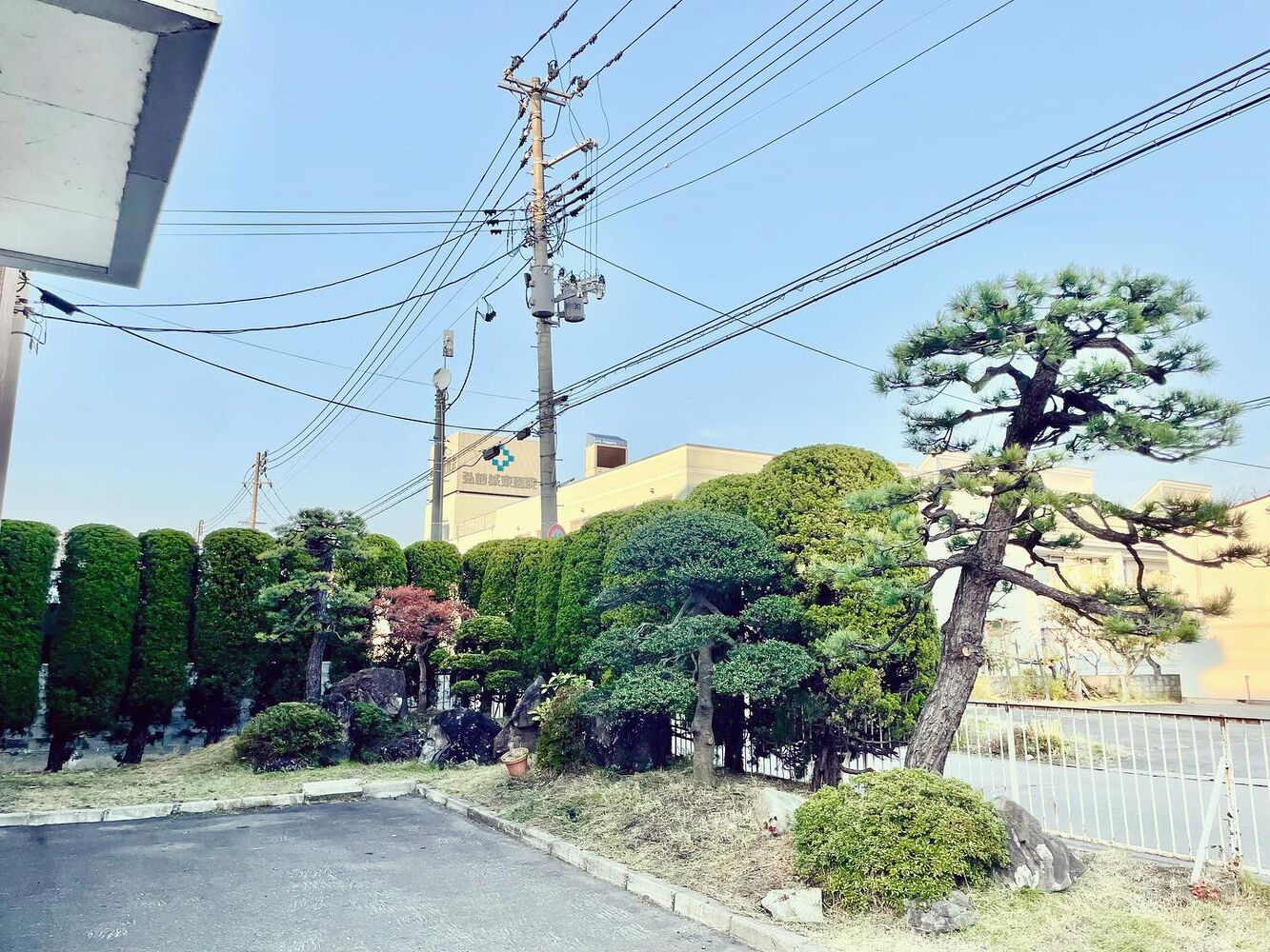 ブログ画像