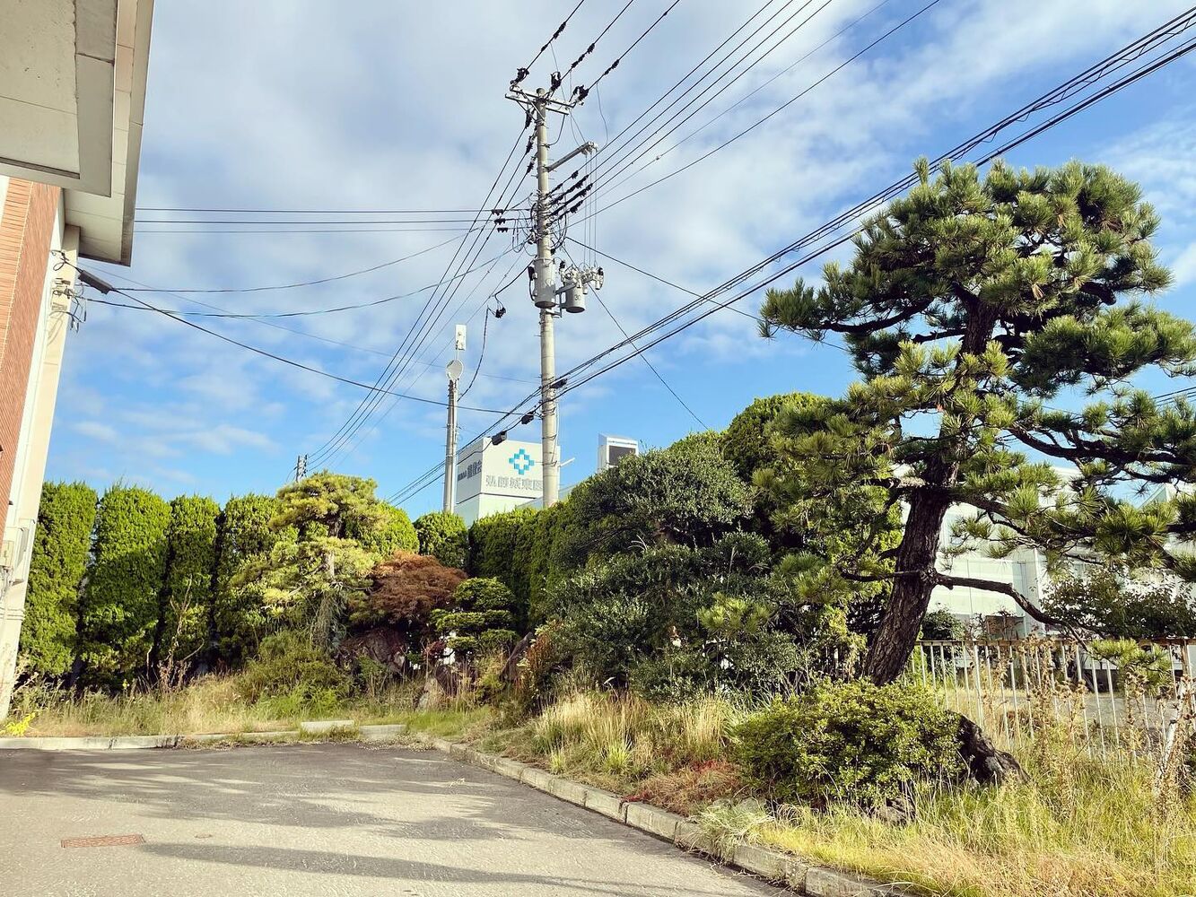 ブログ画像