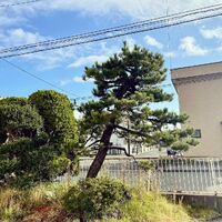ブログ画像