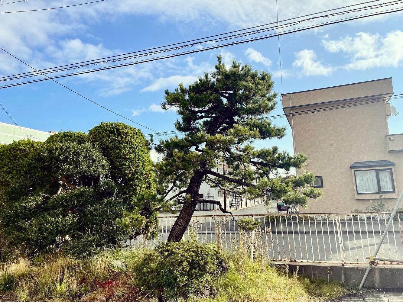 ブログ画像