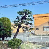 ブログ画像