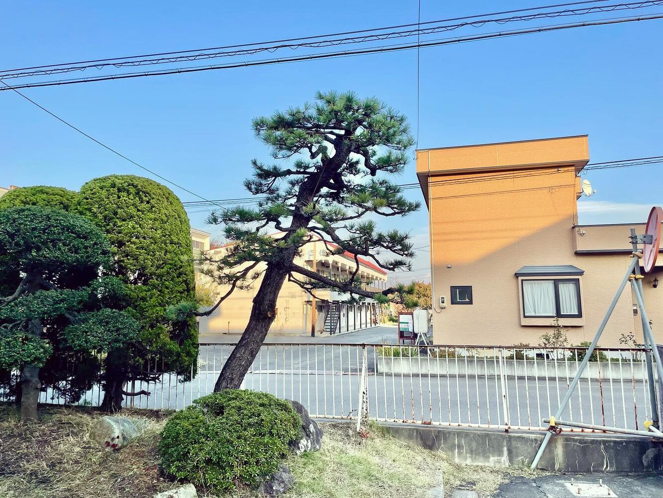ブログ画像