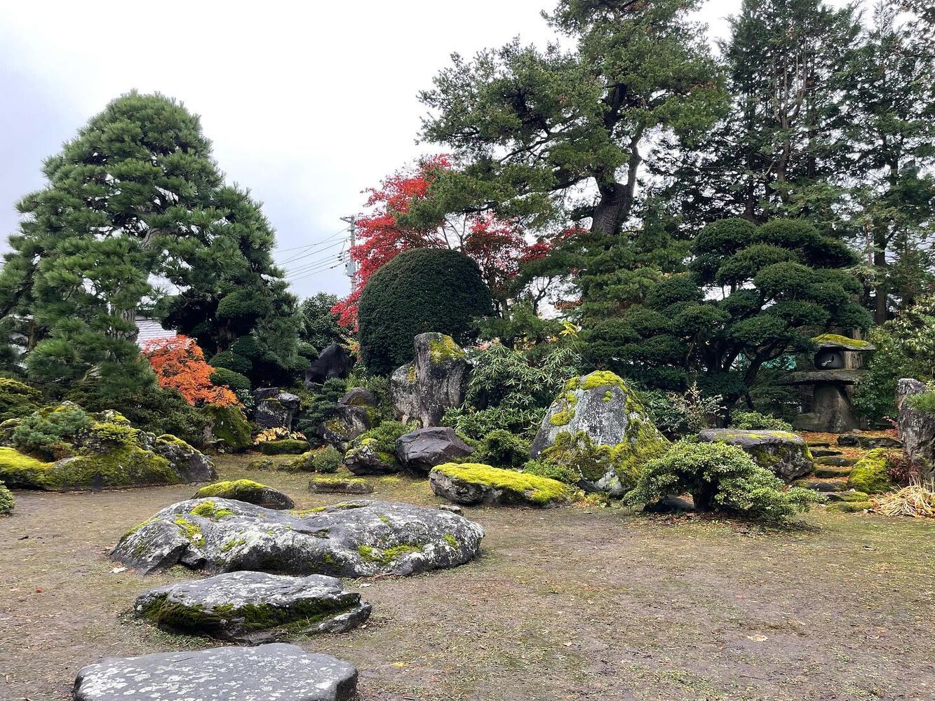 ブログ画像